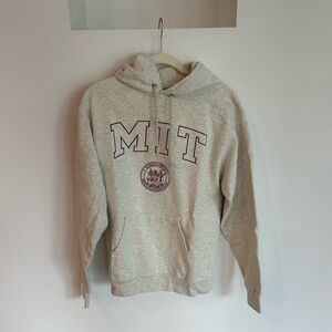 Champion MIT Hoodie in Grey